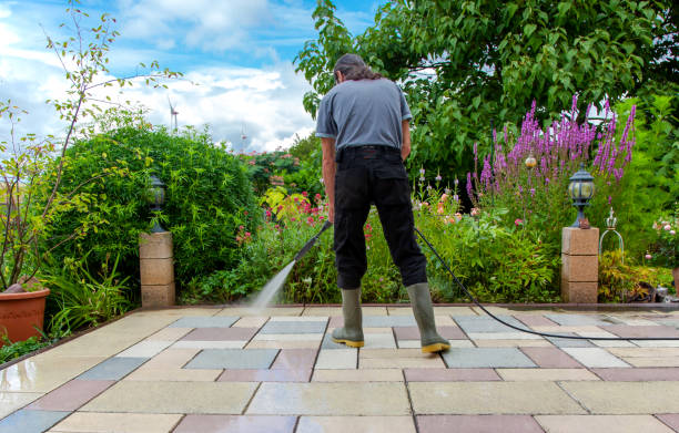  Alamosa, CO Pressure Washing Pros