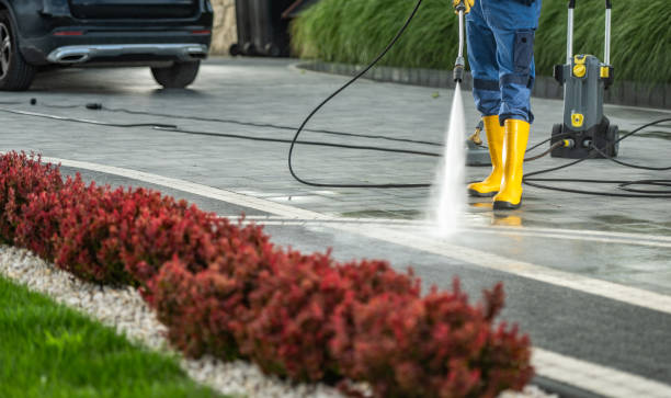 Best Dumpster Area Cleaning  in Alamosa, CO